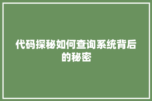 代码探秘如何查询系统背后的秘密