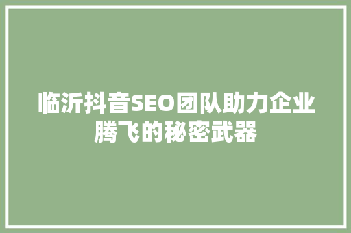 临沂抖音SEO团队助力企业腾飞的秘密武器