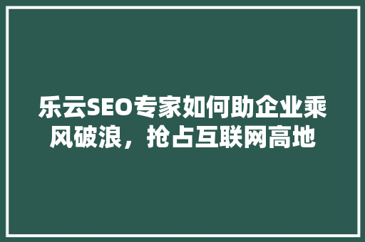 乐云SEO专家如何助企业乘风破浪，抢占互联网高地