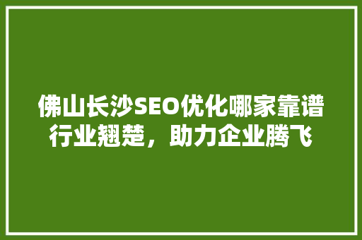 佛山长沙SEO优化哪家靠谱行业翘楚，助力企业腾飞