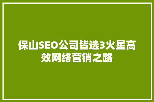 保山SEO公司皆选3火星高效网络营销之路