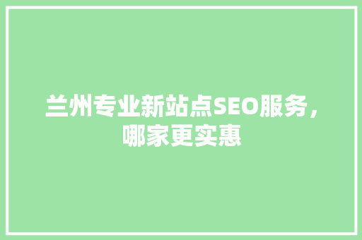 兰州专业新站点SEO服务，哪家更实惠