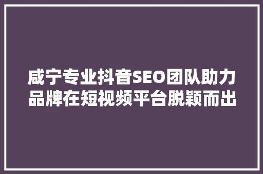 咸宁专业抖音SEO团队助力品牌在短视频平台脱颖而出