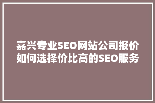 嘉兴专业SEO网站公司报价如何选择价比高的SEO服务