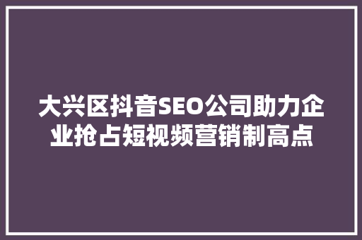 大兴区抖音SEO公司助力企业抢占短视频营销制高点
