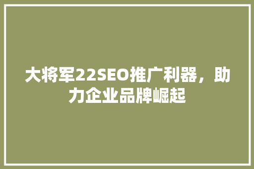 大将军22SEO推广利器，助力企业品牌崛起