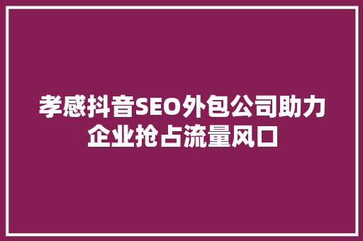 孝感抖音SEO外包公司助力企业抢占流量风口
