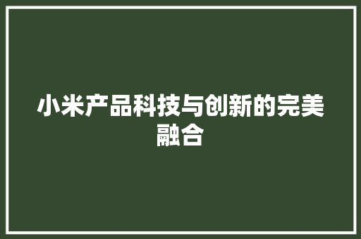 小米产品科技与创新的完美融合
