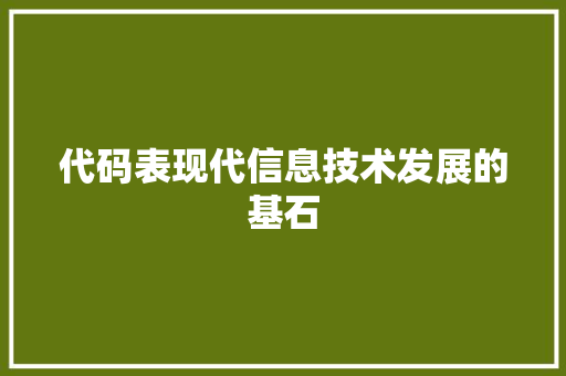 代码表现代信息技术发展的基石