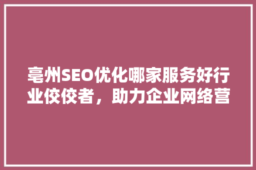 亳州SEO优化哪家服务好行业佼佼者，助力企业网络营销腾飞