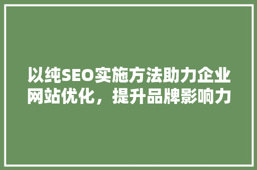 以纯SEO实施方法助力企业网站优化，提升品牌影响力
