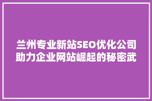 兰州专业新站SEO优化公司助力企业网站崛起的秘密武器