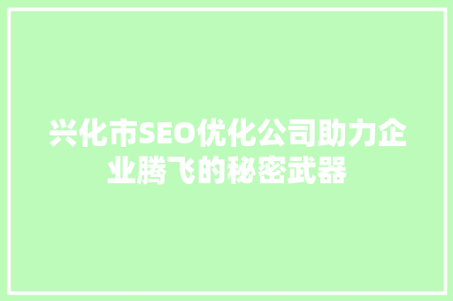 兴化市SEO优化公司助力企业腾飞的秘密武器
