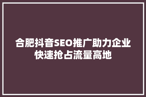 合肥抖音SEO推广助力企业快速抢占流量高地