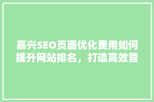 嘉兴SEO页面优化费用如何提升网站排名，打造高效营销步骤