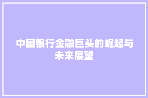 中国银行金融巨头的崛起与未来展望