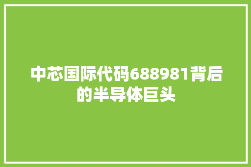 中芯国际代码688981背后的半导体巨头
