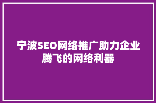 宁波SEO网络推广助力企业腾飞的网络利器