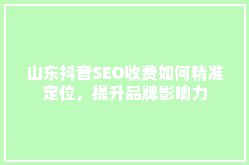 山东抖音SEO收费如何精准定位，提升品牌影响力