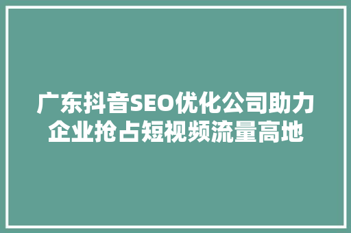 广东抖音SEO优化公司助力企业抢占短视频流量高地
