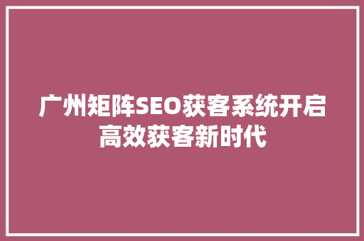 广州矩阵SEO获客系统开启高效获客新时代