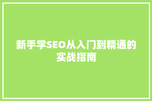 新手学SEO从入门到精通的实战指南