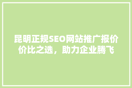 昆明正规SEO网站推广报价价比之选，助力企业腾飞