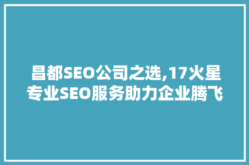 昌都SEO公司之选,17火星专业SEO服务助力企业腾飞