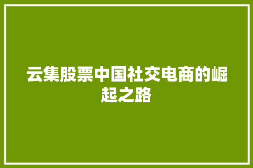 云集股票中国社交电商的崛起之路