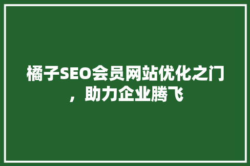 橘子SEO会员网站优化之门，助力企业腾飞