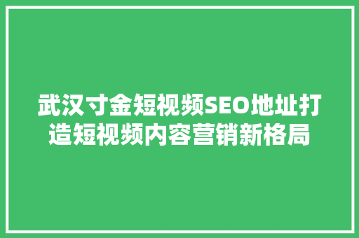 武汉寸金短视频SEO地址打造短视频内容营销新格局