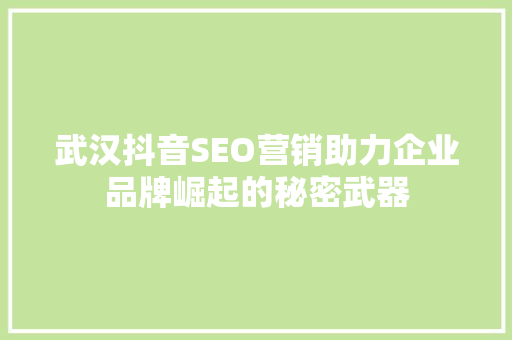 武汉抖音SEO营销助力企业品牌崛起的秘密武器