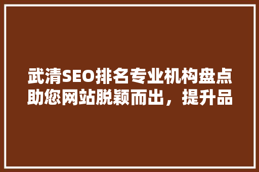 武清SEO排名专业机构盘点助您网站脱颖而出，提升品牌影响力
