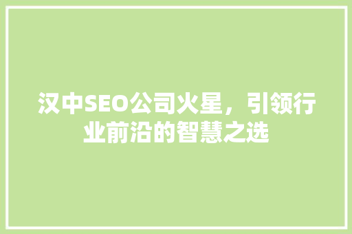 汉中SEO公司火星，引领行业前沿的智慧之选