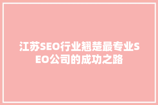 江苏SEO行业翘楚最专业SEO公司的成功之路