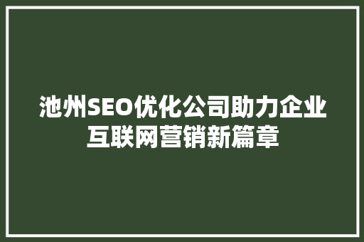 池州SEO优化公司助力企业互联网营销新篇章