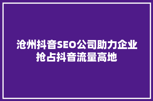 沧州抖音SEO公司助力企业抢占抖音流量高地