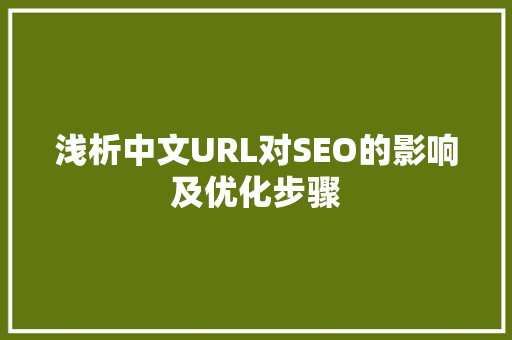 浅析中文URL对SEO的影响及优化步骤