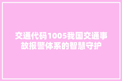 交通代码1005我国交通事故报警体系的智慧守护