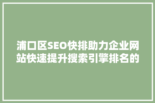浦口区SEO快排助力企业网站快速提升搜索引擎排名的秘密武器