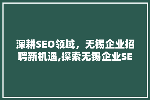 深耕SEO领域，无锡企业招聘新机遇,探索无锡企业SEO人才招聘现状