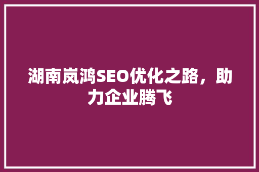 湖南岚鸿SEO优化之路，助力企业腾飞