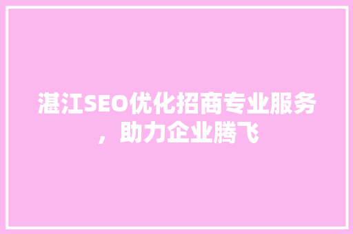 湛江SEO优化招商专业服务，助力企业腾飞