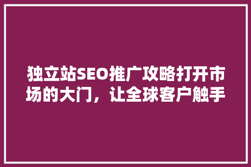 独立站SEO推广攻略打开市场的大门，让全球客户触手可及