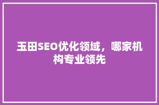 玉田SEO优化领域，哪家机构专业领先