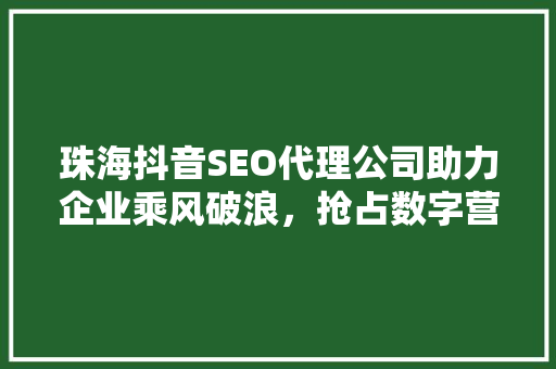 珠海抖音SEO代理公司助力企业乘风破浪，抢占数字营销制高点