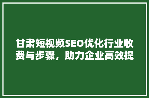 甘肃短视频SEO优化行业收费与步骤，助力企业高效提升流量