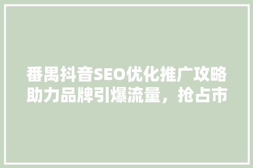 番禺抖音SEO优化推广攻略助力品牌引爆流量，抢占市场先机