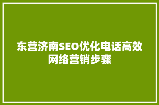 东营济南SEO优化电话高效网络营销步骤