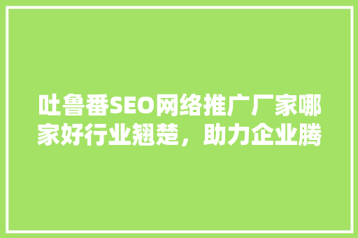 吐鲁番SEO网络推广厂家哪家好行业翘楚，助力企业腾飞